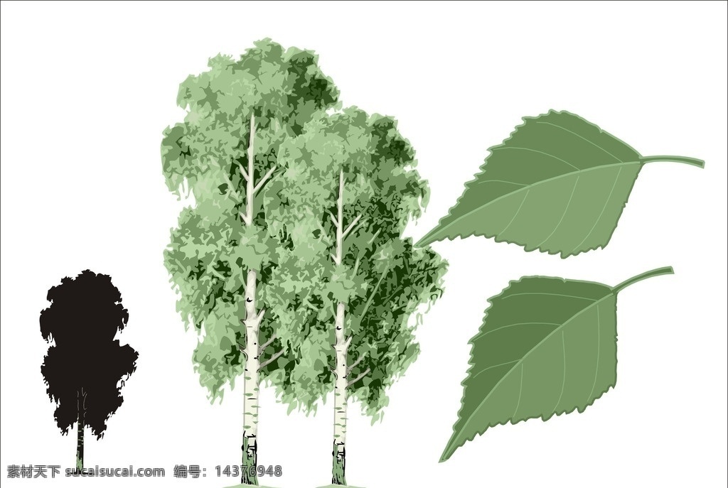 树林 绿色 绿色植物 绿色素材 大树 树素材 树枝 树木 树 园林 绿树 树木图 植物 园林景观素材 树矢量图 树矢量 叶子 绿叶 树木树叶 叶素材 绿叶素材 生态树 健康树 绿色树 环保树 矢量图树 欧洲白桦 白桦 树15 生物世界