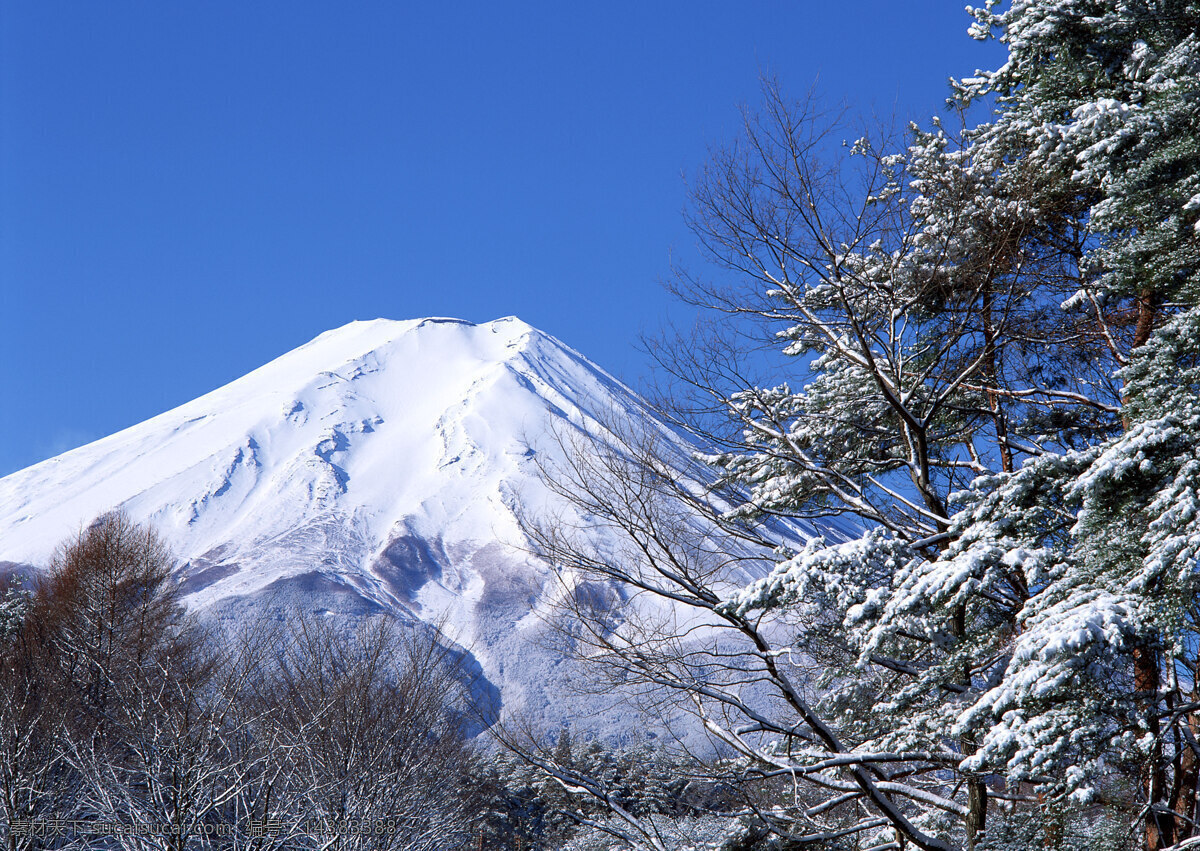 富士山 日本 雪山 旅游 国外旅游 37樱花 自然景观 自然风景 蓝色