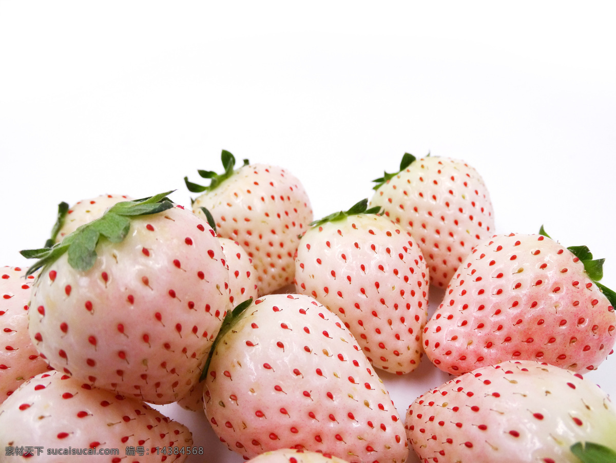 白草莓 白雪公主草莓 有机草莓 草莓 桃熏草莓 生物世界 水果