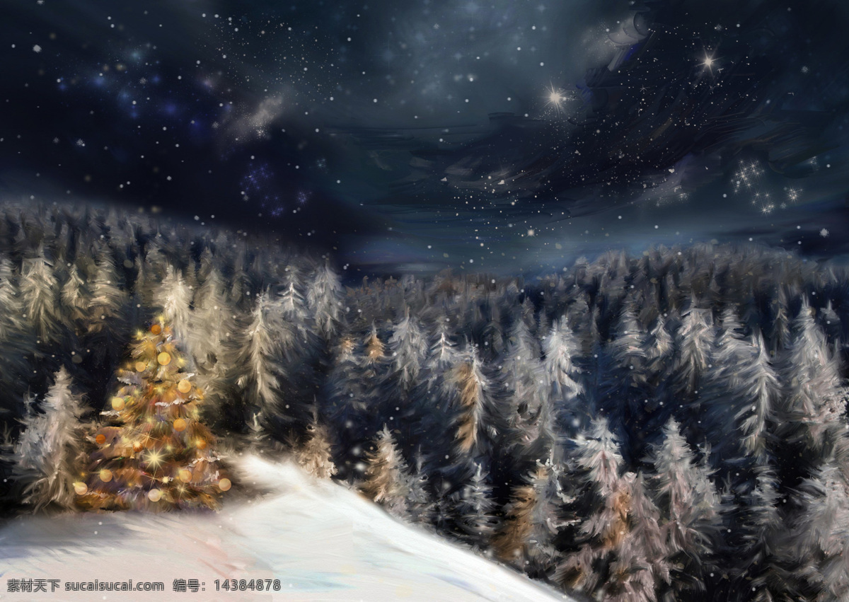 夜晚的松枝 夜晚 天空 光斑 雪花 圣诞树 松枝 圣诞节 节日庆典 生活百科 黑色