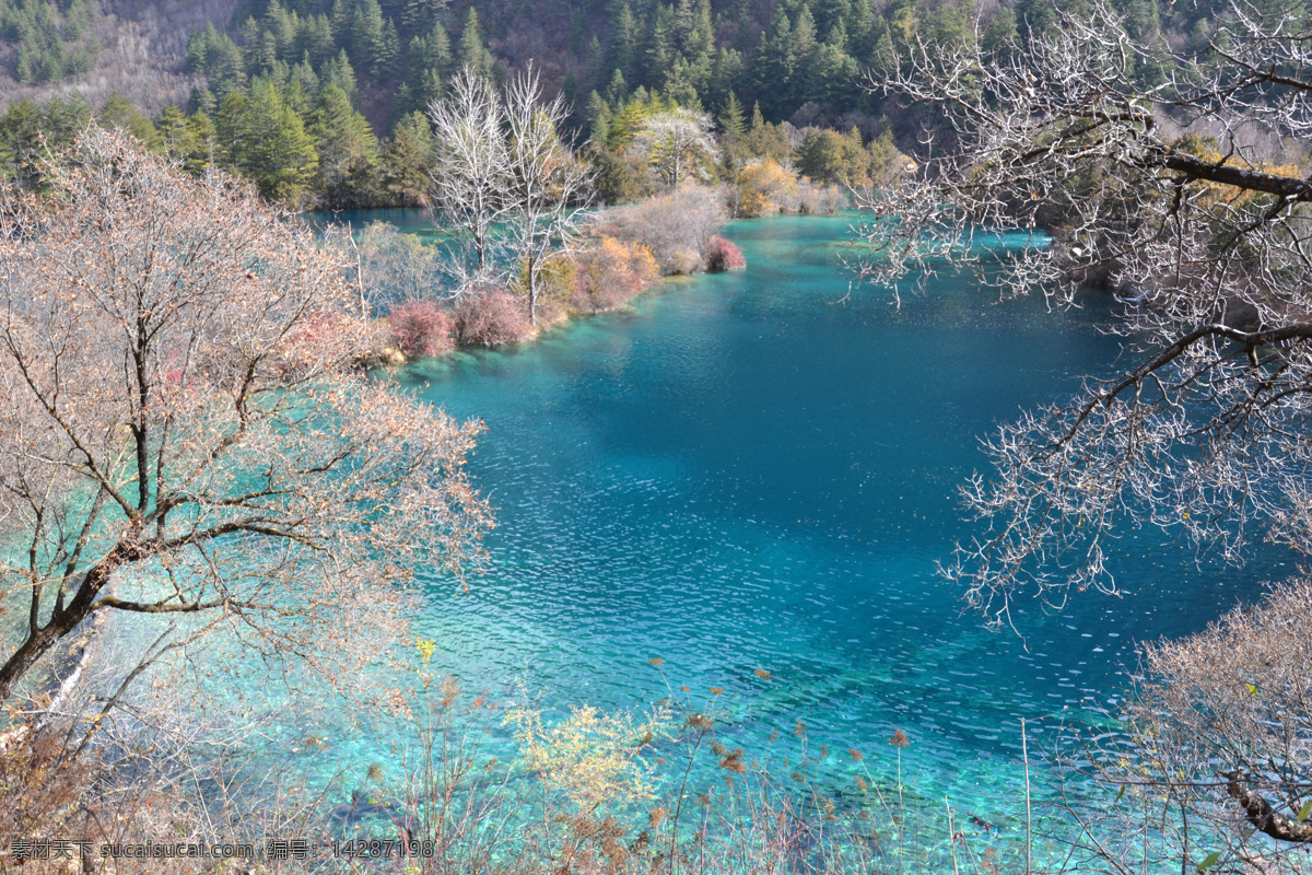 火花海 九寨沟 蓝色 秋湖 自然风景 自然景观