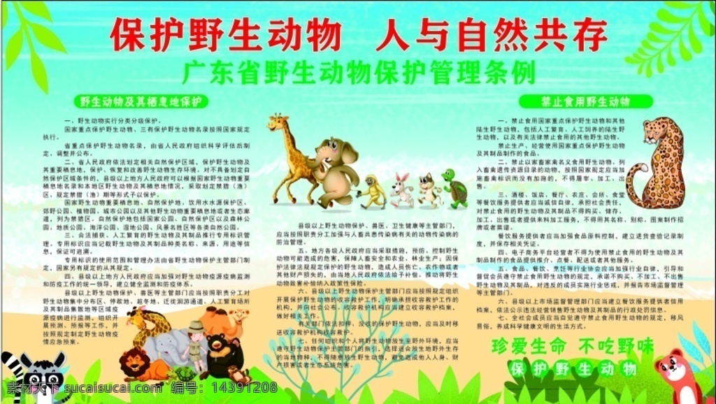 保护 野生动物 法律法规 保护野生动物 动物法律法规 野生动物海报 海报展板 野生动物宣传 展板模板